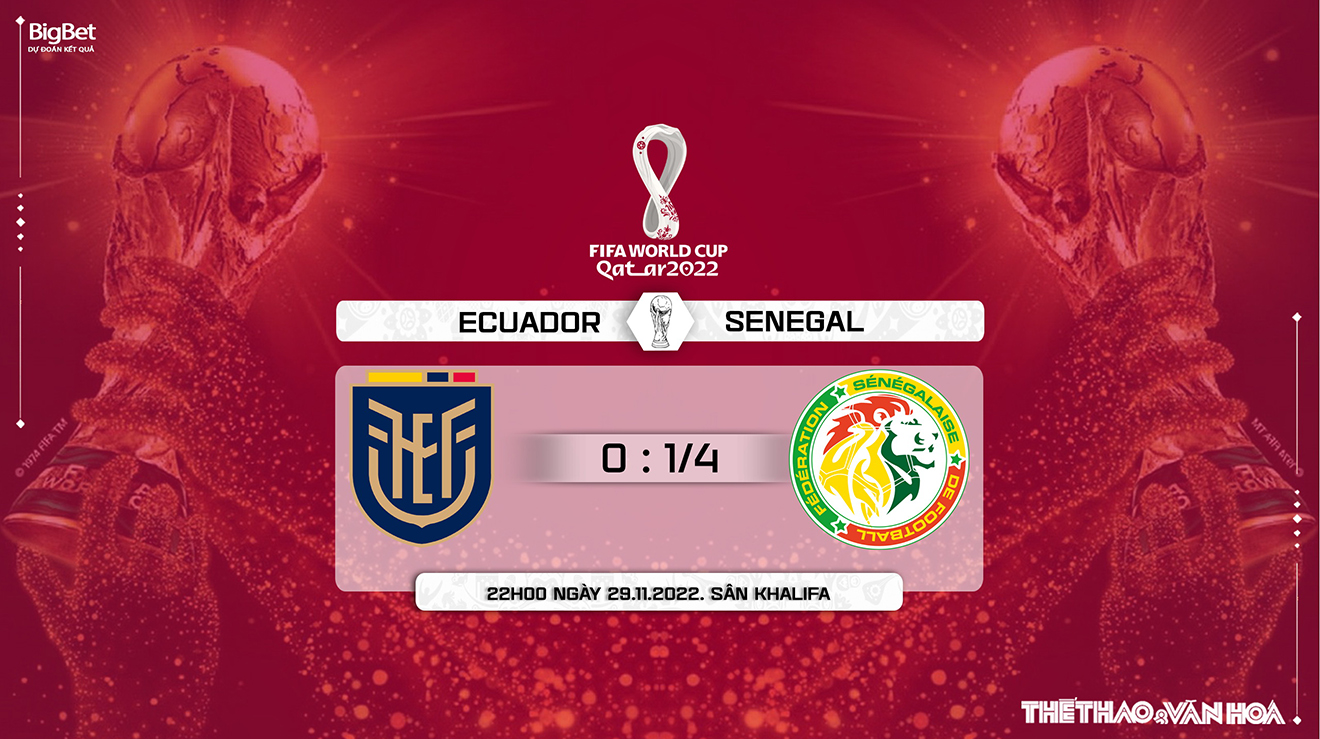 Kèo Senegal vs Ecuador: Phân tích chiến thuật và cơ hội thắng tại World Cup 2022