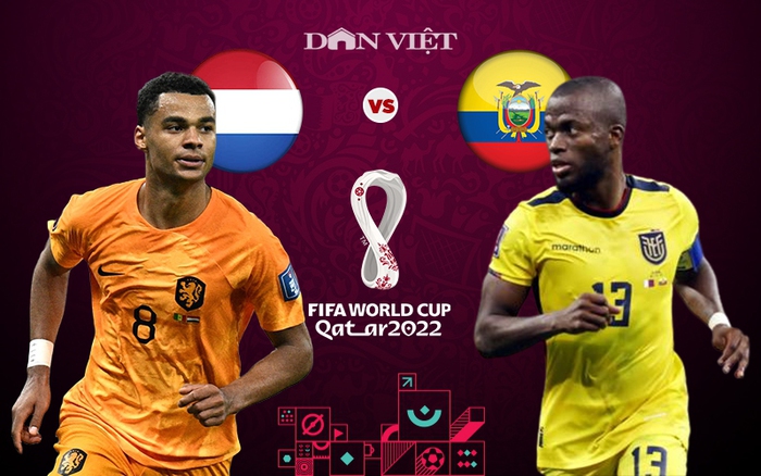 Tỷ lệ kèo Hà Lan vs Ecuador: Cơ hội chiến thắng cho đội bóng áo cam?