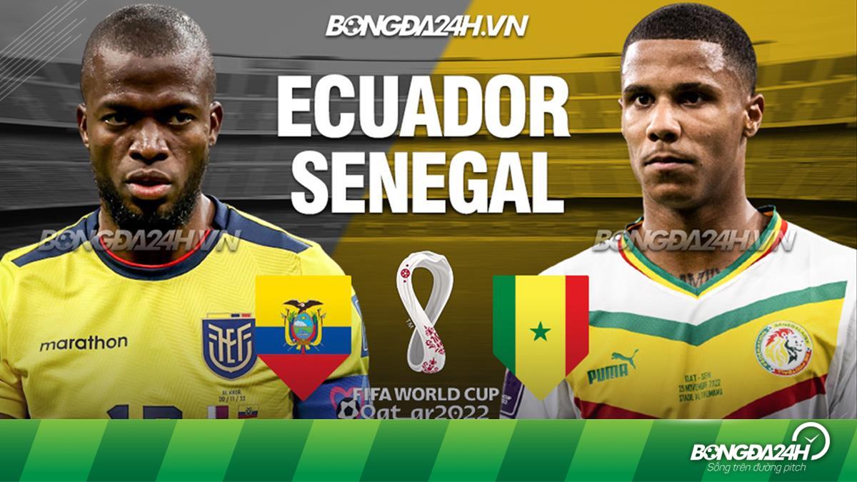 Nhận định kèo Senegal vs Ecuador – Phân tích tỷ lệ và thống kê chi tiết