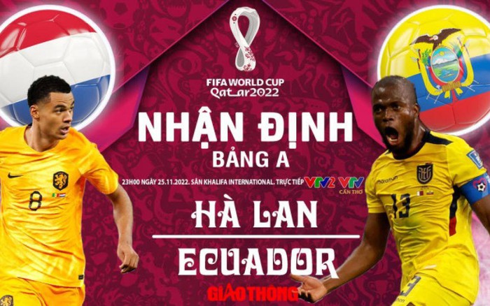 Soi kèo Hà Lan vs Ecuador: Phân tích và dự đoán kết quả trận đấu bảng A World Cup
