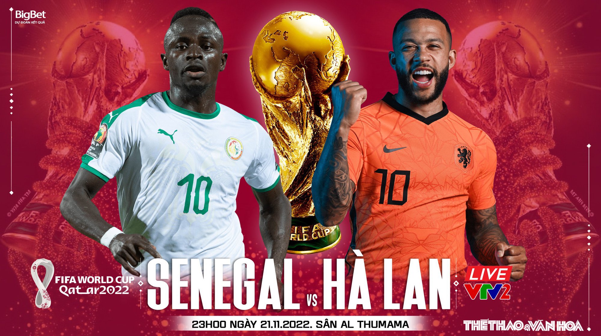 Kèo Senegal vs Hà Lan: Nhận định và Dự đoán Tỷ lệ Cập nhật Mới Nhất