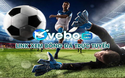 Xem U20 Việt Nam vs U20 Australia trực tiếp trên kênh nào? Cập nhật ngay!