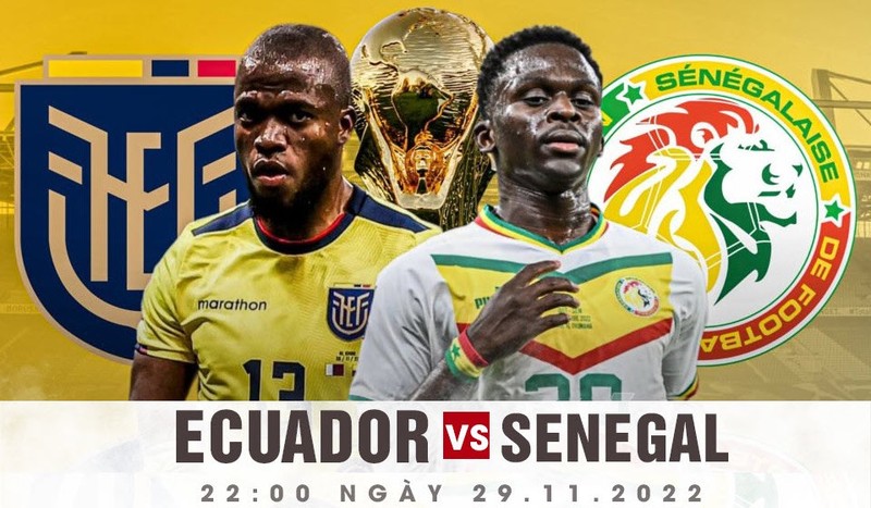 soi kèo ecuador vs senegal