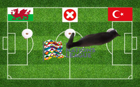 Soi kèo Wales vs Iran: Dự đoán tỷ số và phân tích trận đấu Bảng B World Cup 2022