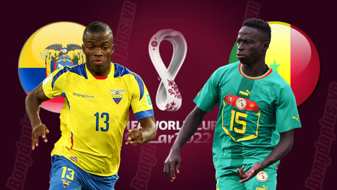 Soi kèo Ecuador vs Senegal hôm nay: Cập nhật tỷ lệ cược mới nhất!