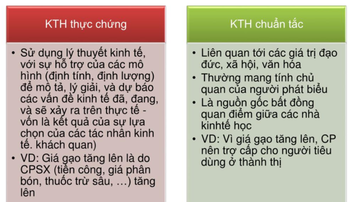 AC và New: Loại nào tốt hơn? So sánh dựa trên nhu cầu sử dụng thực tế.