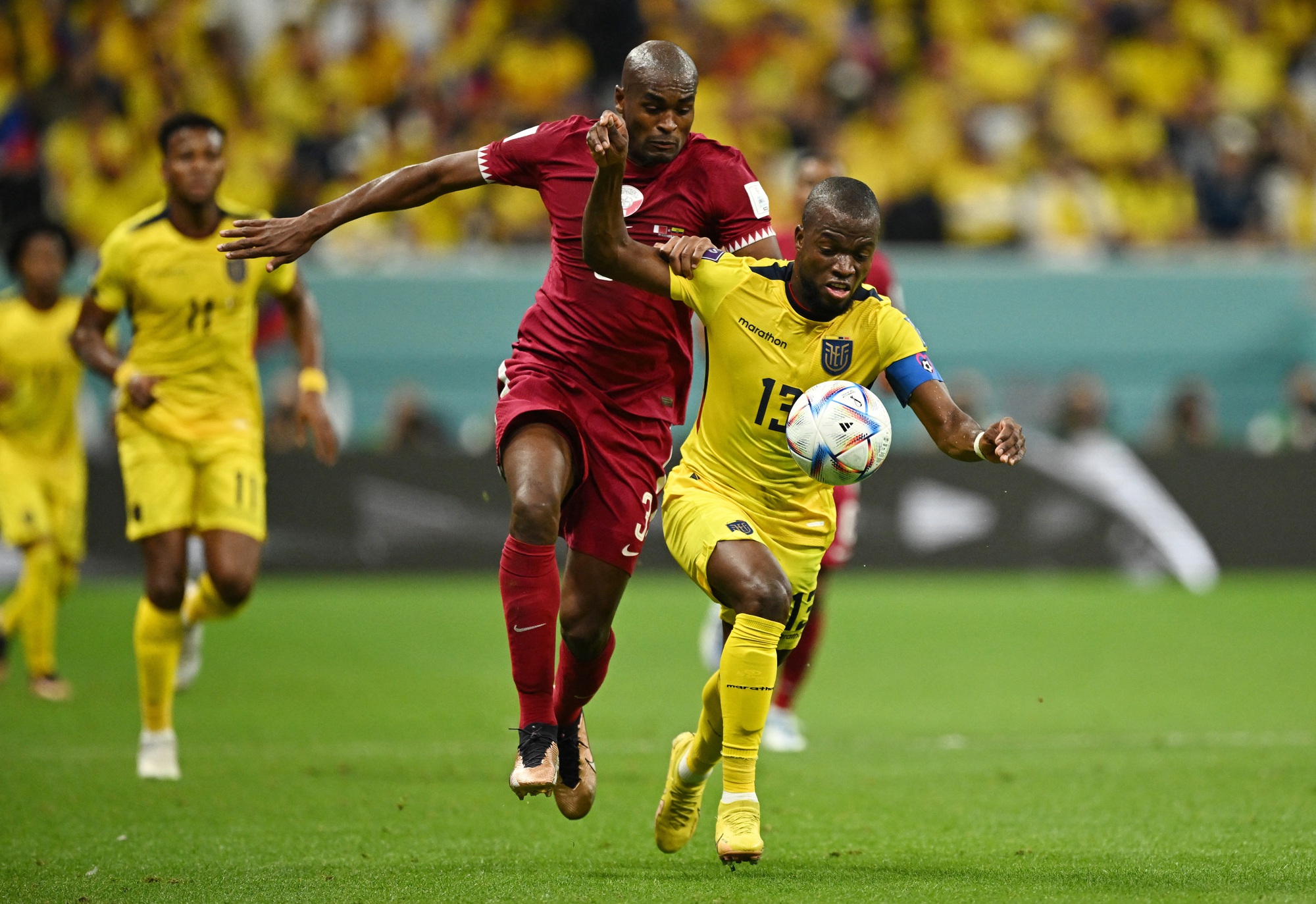 Soi kèo Ecuador vs Senegal hôm nay: Cập nhật tỷ lệ cược mới nhất!