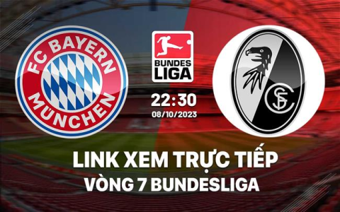 Xem Adelaide United đá với Central Coast: Cập nhật link xem mới nhất.