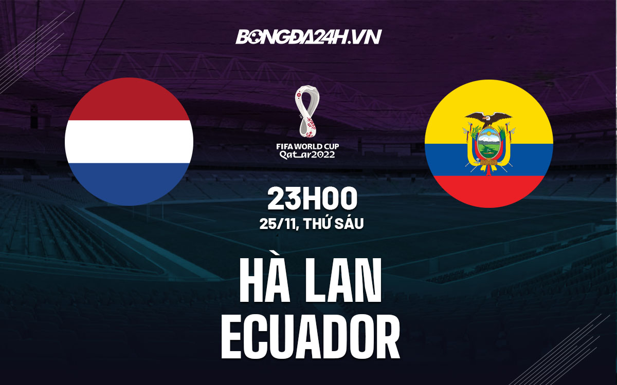 Trực tiếp soi kèo Hà Lan vs Ecuador: Cập nhật tỷ lệ, phân tích trước trận đấu!
