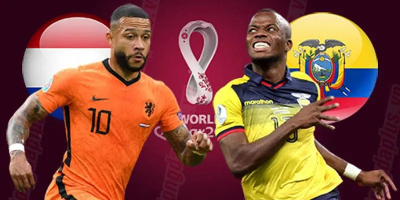 Đánh tài xỉu trận Qatar vs Ecuador: Hướng dẫn chi tiết cho người mới chơi