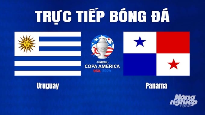 Trận Anh vs Uruguay đá mấy giờ? Xem lịch thi đấu và kênh trực tiếp.
