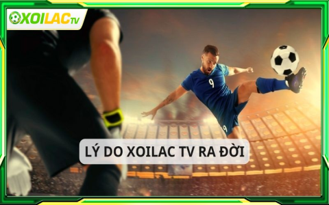 Soi kèo Al Fateh vs Al-Nassr: Nhận định bóng đá, dự đoán tỷ số chi tiết!
