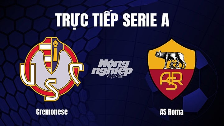 Dự đoán trận AS Roma vs Cremonese thế nào? Tham khảo nhận định từ chuyên gia bóng đá.