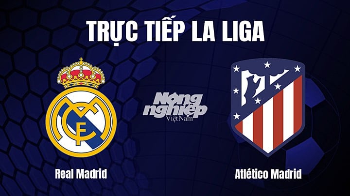Xem Atletico Madrid vs Deportivo trên kênh nào? Cập nhật link xem trực tiếp miễn phí.